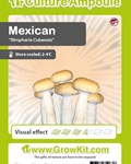 Ampoule de spores- Mexican