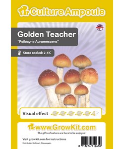 Ampoule de spores- Golden Teacher