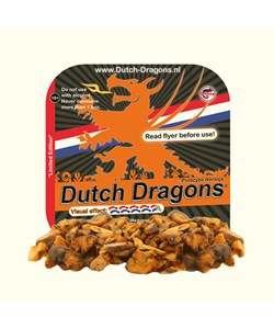 Dutch Dragons - Psilocybe Tampanensis