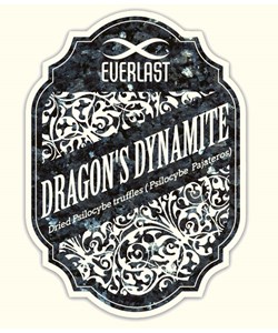 Everlast Dragon’s Dynamite