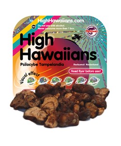 High Hawaiians - Psilocybe Tampelandia