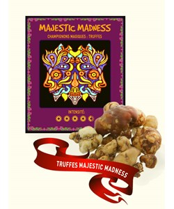 Majestic Madness - Psilocybe Truffles