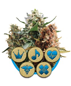Mélange médical CBD