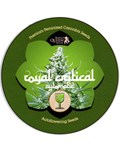 iGrowCan - Royal Critical Automatic