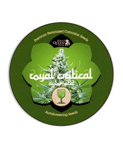 iGrowCan - Royal Critical Automatic