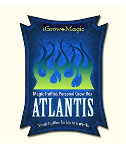 iGrow Truffles Atlantis