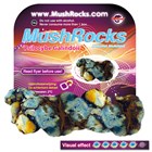 mushrocks Psilocybe Galindoii